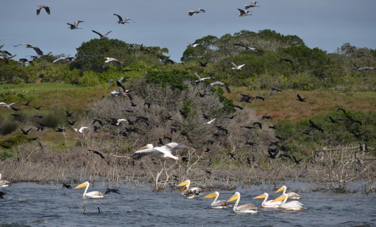 De Hoop Collection - Vlei Cottages De Hoop Nature Reserve Екстер'єр фото